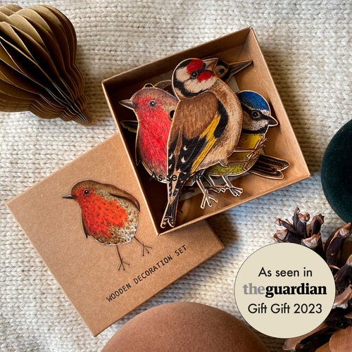 A gift box set of 5 wooden hanging birds; set contains Robin, Sparrow, Blue Tit, Woodpecker and Goldfinch and comes with hanging strings. As seen in the Guardian Christmas Gift Guide 2023