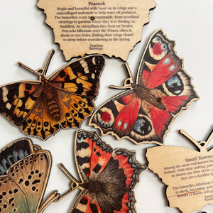 Perfectly Imperfect BUTTERFLY decorations
