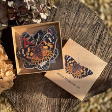 Load image into Gallery viewer, Butterfly Wooden Decoration Gift Set &amp; 7 Card Pack