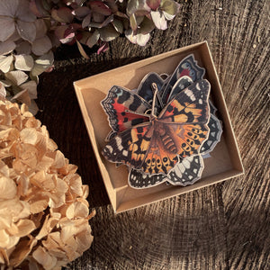 Butterfly Wooden Decoration Gift Set & Card