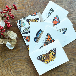 Butterfly Wooden Decoration Gift Set & 7 Card Pack