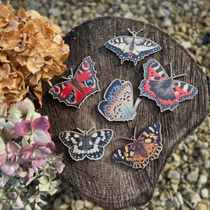 Butterfly 5 Piece Wooden Decoration Set