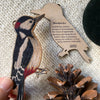 British Woodpecker bird wooden decoration with the symbolic meaning on the back