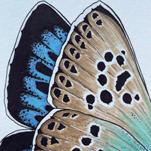 Load image into Gallery viewer, Large Blue illustrated butterfly print