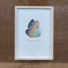 Load image into Gallery viewer, Personalised Large Blue illustrated butterfly print