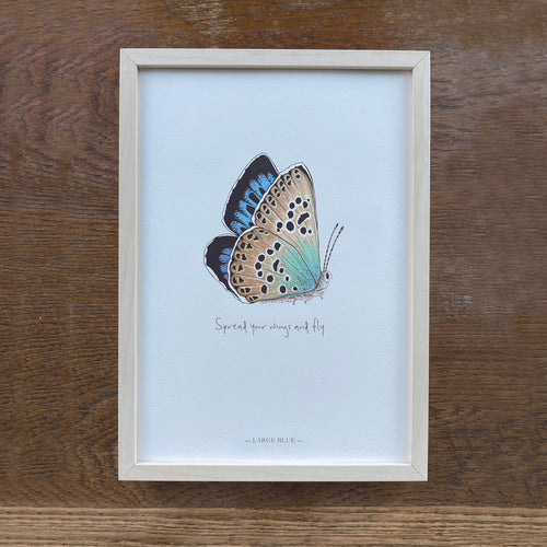 Personalised Large Blue illustrated butterfly print