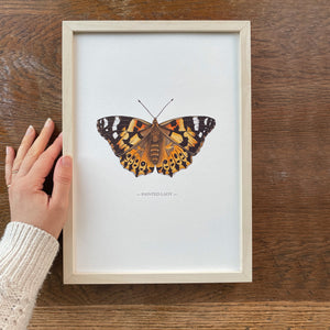 Painted Lady illustrated butterfly print