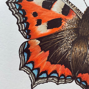 Small Tortoiseshell illustrated butterfly print