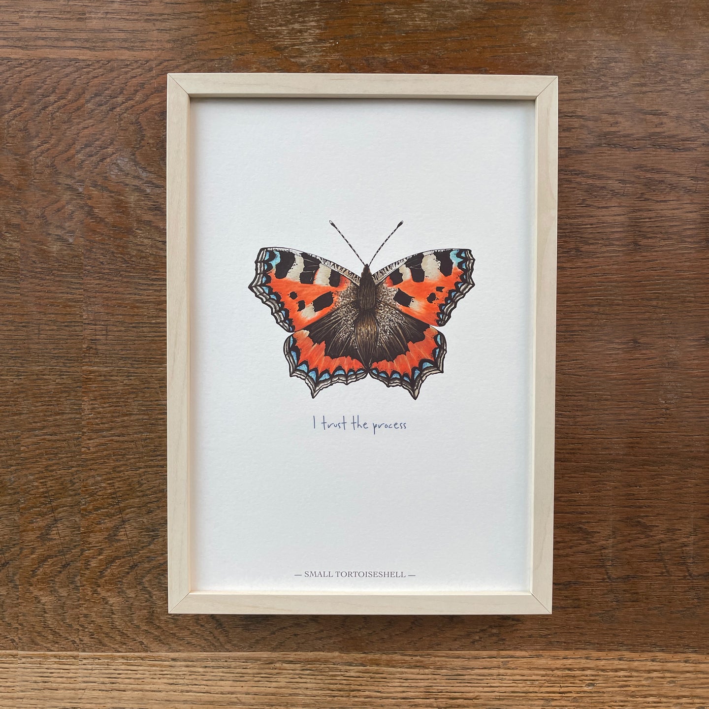 Personalised Small Tortoiseshell illustrated butterfly print