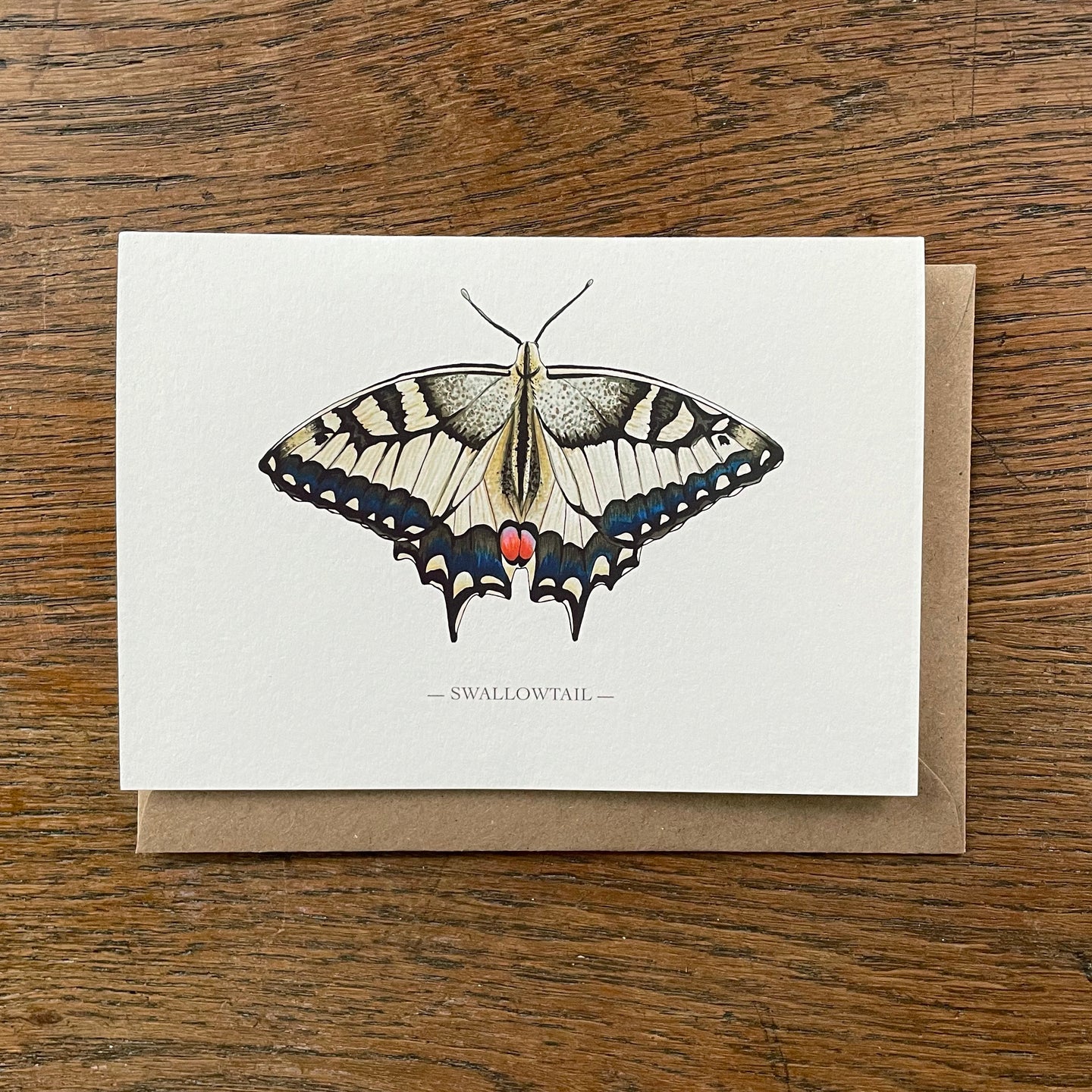 Swallowtail butterfly card