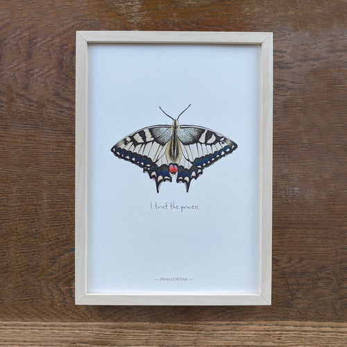Personalised Swallowtail illustrated butterfly print