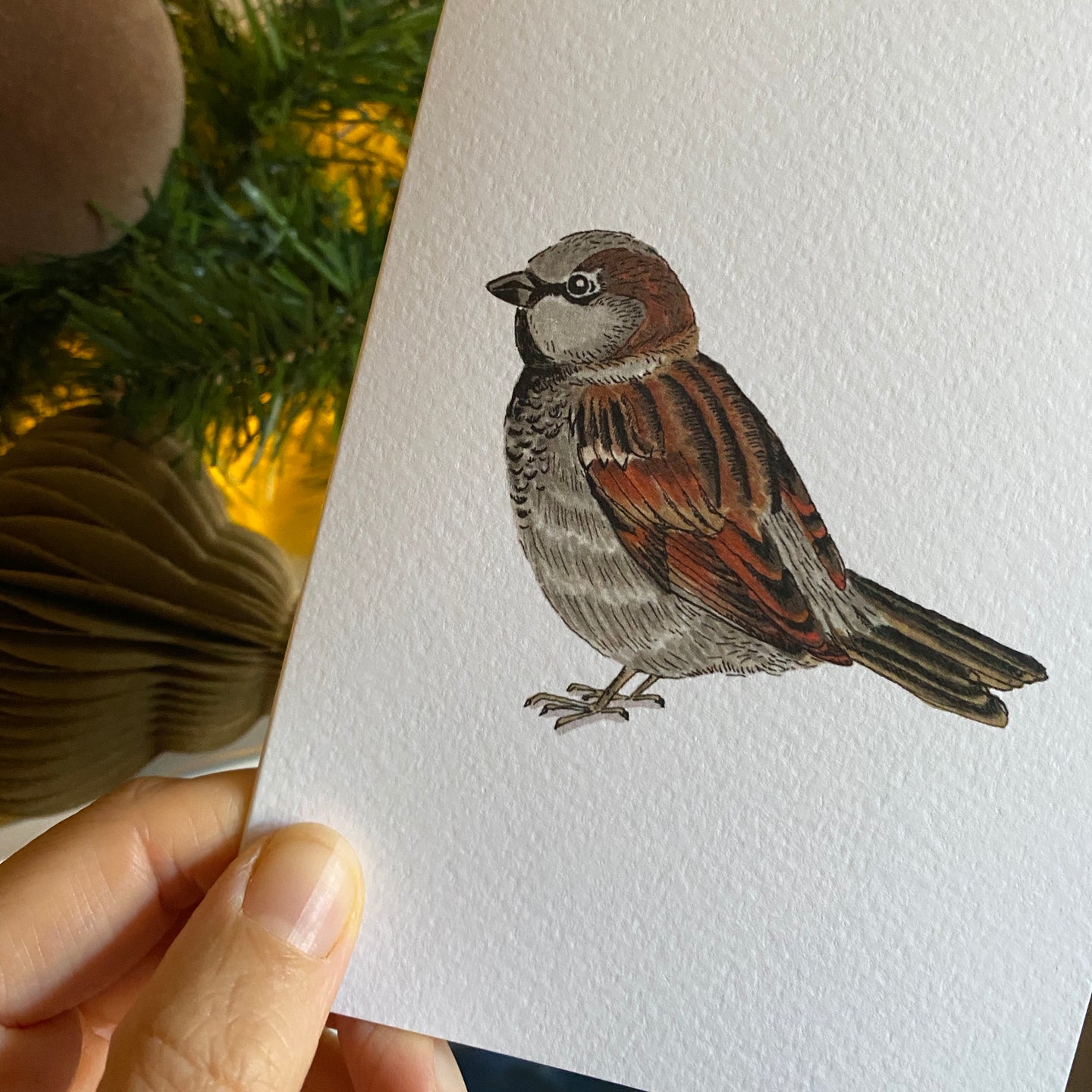 Sparrow card