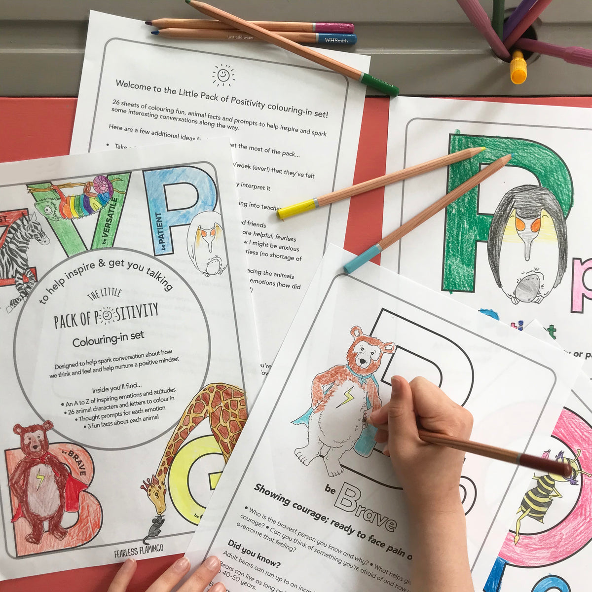 KIDS COLOURING SETS– Fearless Flamingo